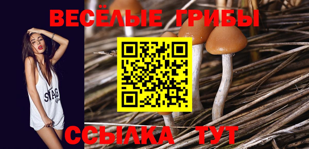 Галлюциногенные грибы Magic Shrooms Нальчик