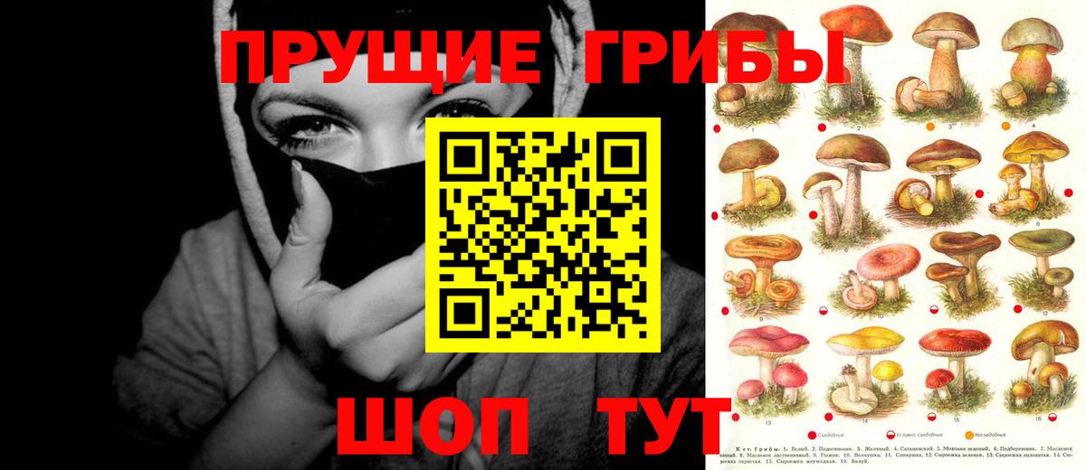 Галлюциногенные грибы прущие грибы  Вход с VPN  Нальчик 